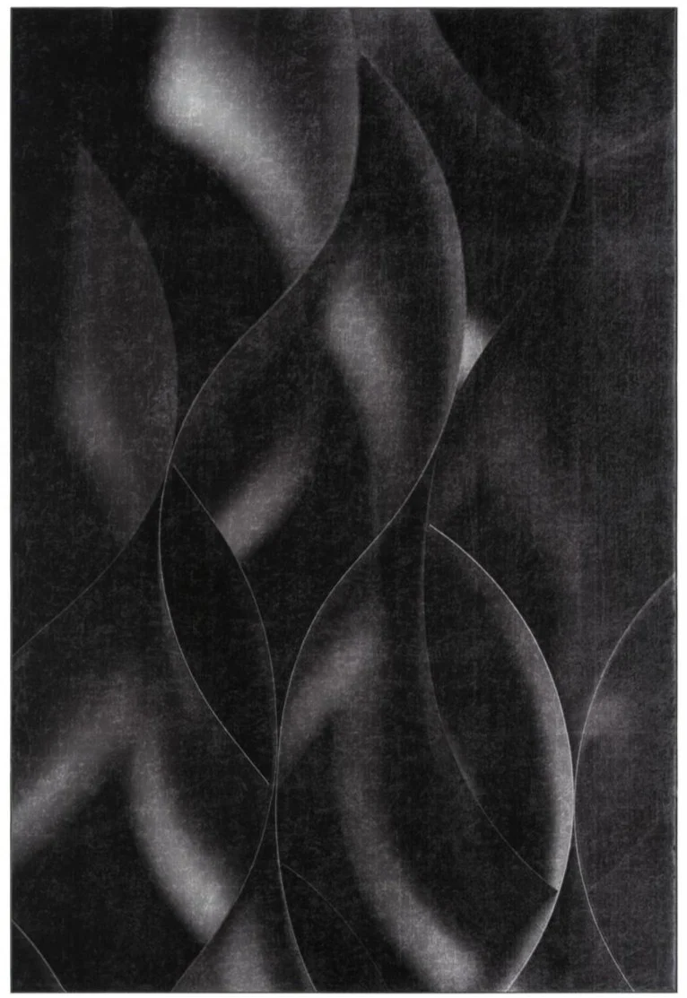 Tapis de Salon Noir Kilim Imprimé 2 80x150 cm – Royaume du Tapis