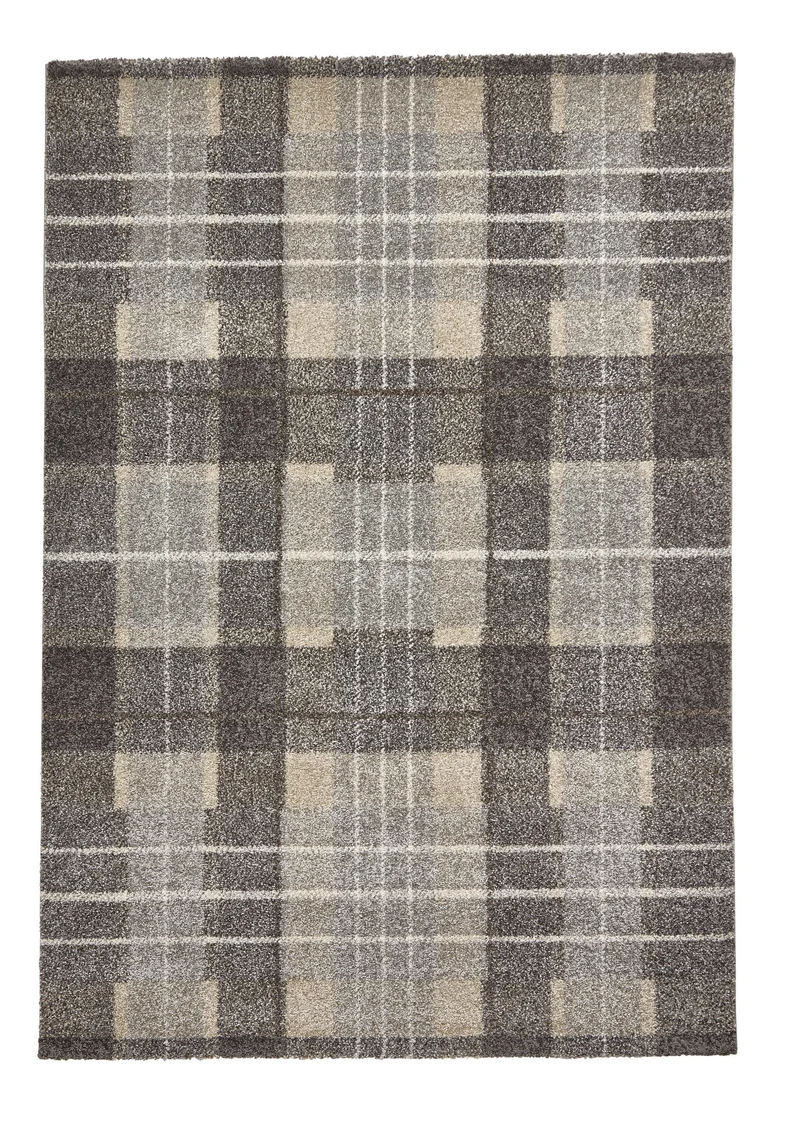 Tapis Gris motif rayé Graphique Elegant 4890