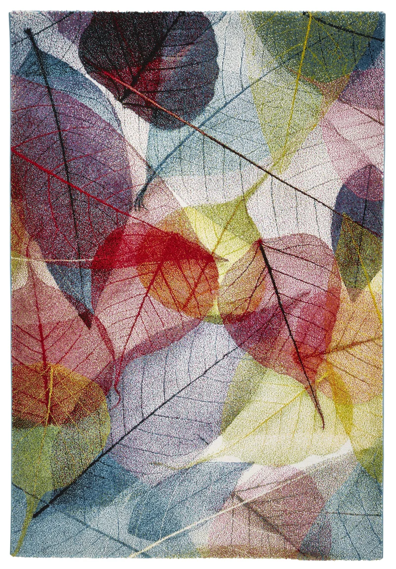 Tapis multicolore floral de salon SUNRISE 22368