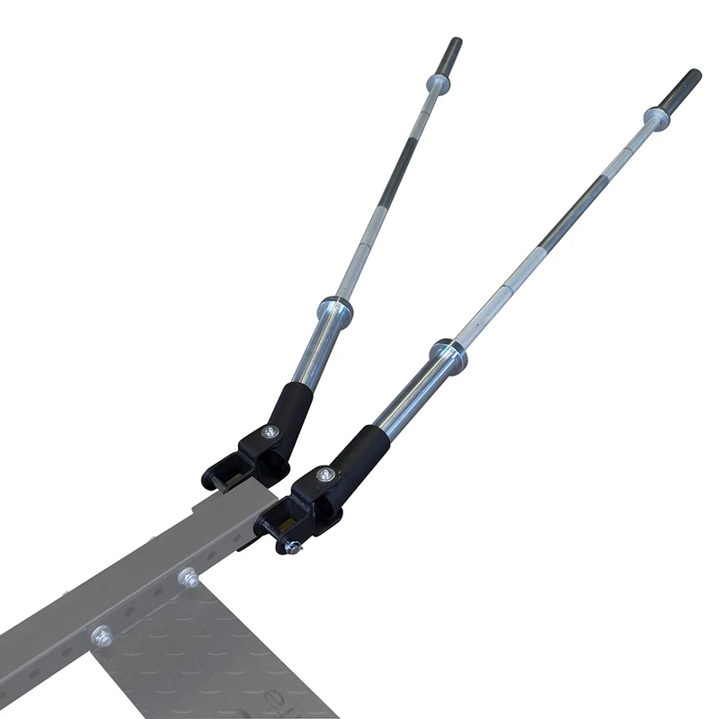 Dual T-Bar Row