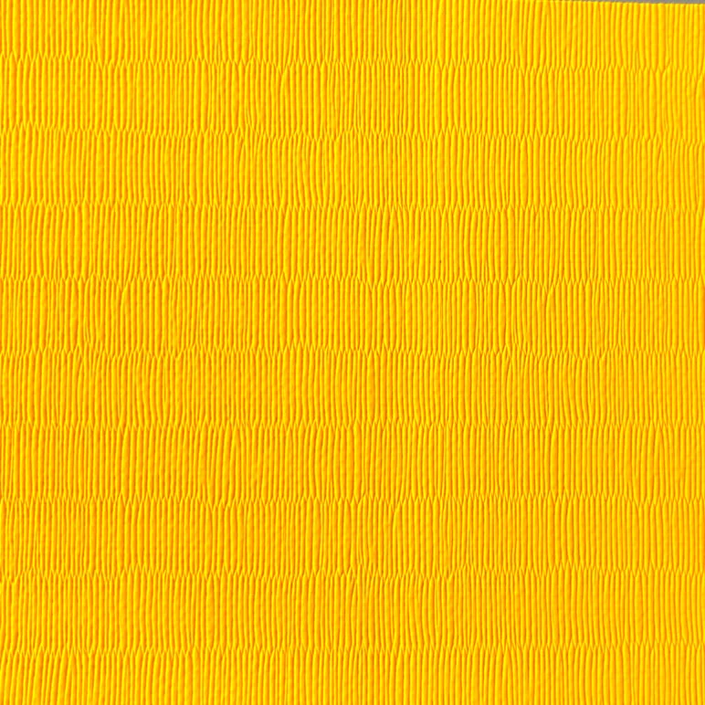 TATAMIS VINYLES ANTIDÉRAPANTS 200 x 100cm