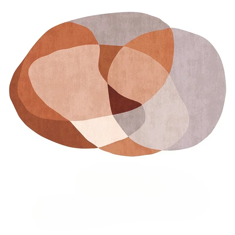 Tapis Irrégulier Salon