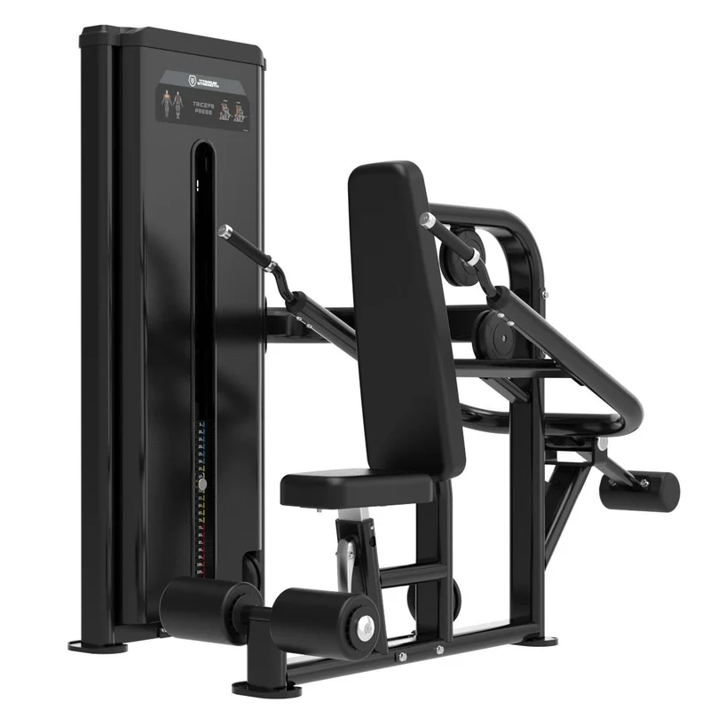 Dips de Triceps