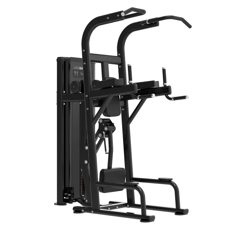Dips et Tractions Assistées