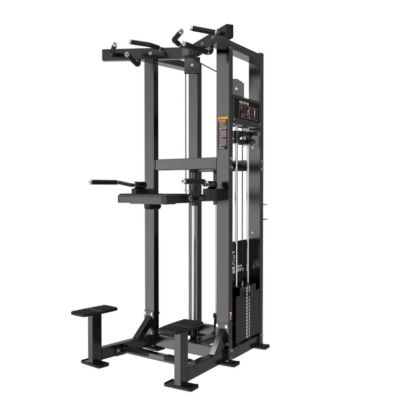 Dips et Tractions Assistées