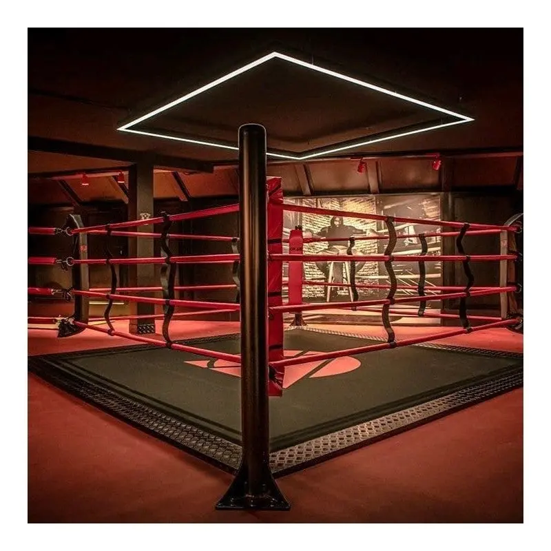 Boxring individualisieren – Logo und Vereinsfarben ab Werk