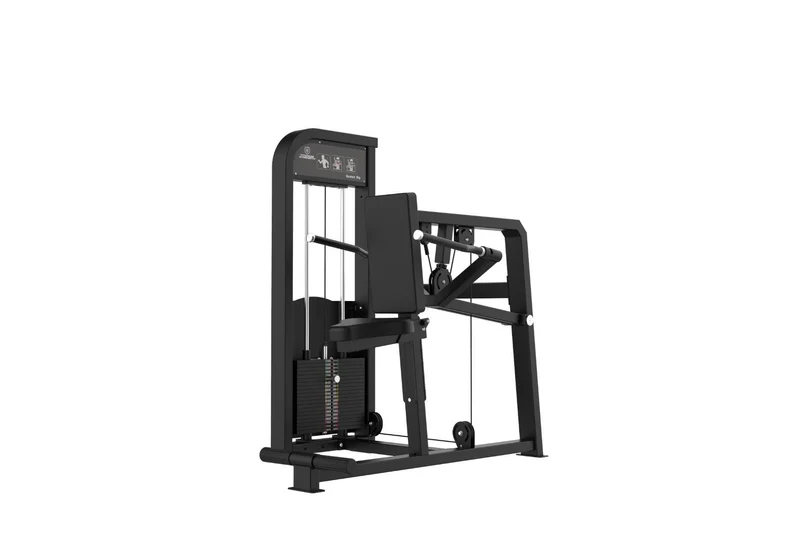 DIPS DE TRICEPS ELITE SERIES