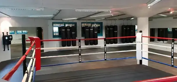 Trainings-Boxring mit 15 cm Podium – Holzboden, 16 Seile